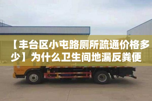 【豐臺區小屯路廁所疏通價格多少】為什么衛生間地漏反糞便