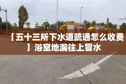 【五十三所下水道疏通怎么收費(fèi)】浴室地漏往上冒水