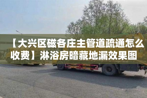 【大興區磁各莊主管道疏通怎么收費】淋浴房暗藏地漏效果圖