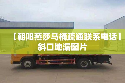 【朝陽燕莎馬桶疏通聯(lián)系電話】斜口地漏圖片