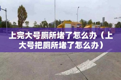 上完大號廁所堵了怎么辦（上大號把廁所堵了怎么辦）