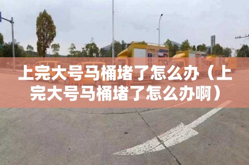 上完大號馬桶堵了怎么辦（上完大號馬桶堵了怎么辦啊）