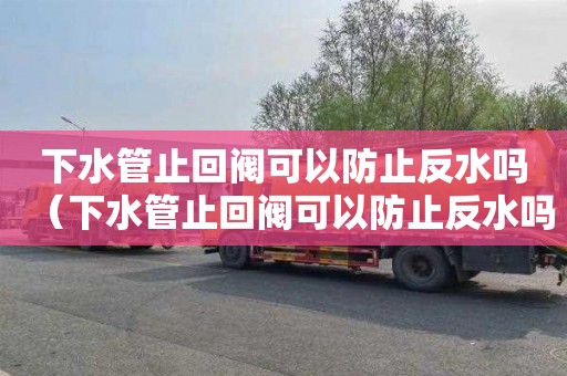 下水管止回閥可以防止反水嗎（下水管止回閥可以防止反水嗎視頻）