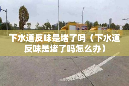 下水道反味是堵了嗎（下水道反味是堵了嗎怎么辦）