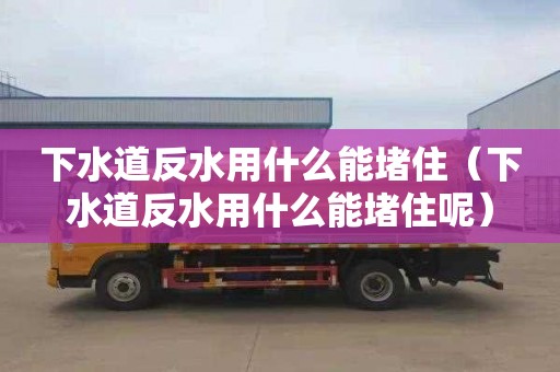 下水道反水用什么能堵住（下水道反水用什么能堵住呢）