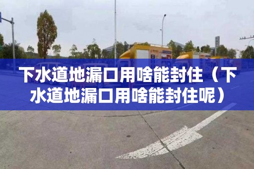 下水道地漏口用啥能封住（下水道地漏口用啥能封住呢）