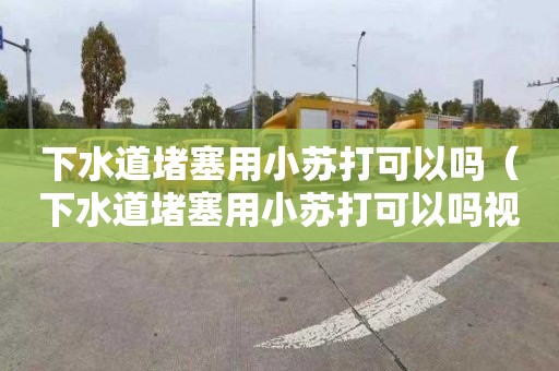 下水道堵塞用小蘇打可以嗎（下水道堵塞用小蘇打可以嗎視頻）