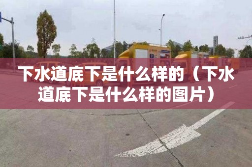 下水道底下是什么樣的（下水道底下是什么樣的圖片）