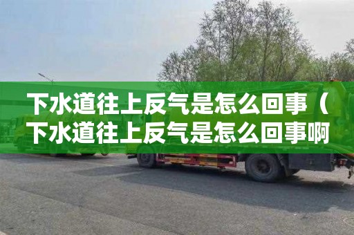 下水道往上反氣是怎么回事（下水道往上反氣是怎么回事?。? title=