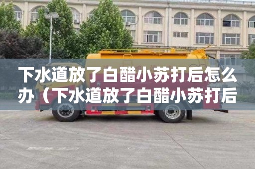 下水道放了白醋小蘇打后怎么辦（下水道放了白醋小蘇打后怎么辦呢）