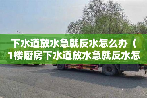 下水道放水急就反水怎么辦（1樓廚房下水道放水急就反水怎么辦）