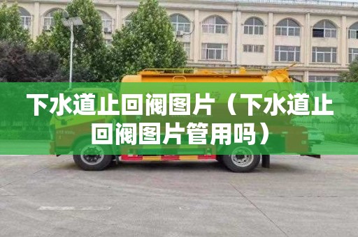 下水道止回閥圖片（下水道止回閥圖片管用嗎）