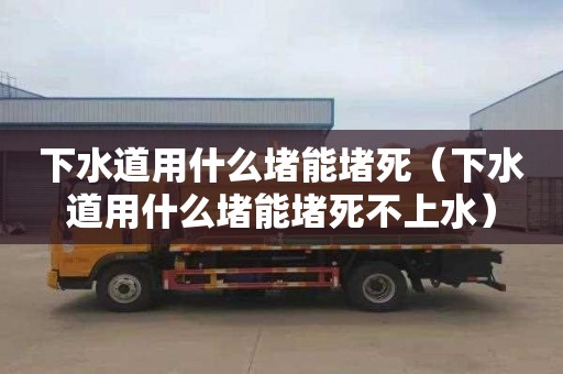 下水道用什么堵能堵死（下水道用什么堵能堵死不上水）