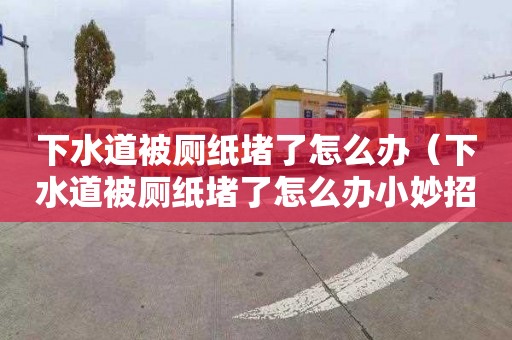 下水道被廁紙堵了怎么辦（下水道被廁紙堵了怎么辦小妙招）