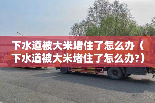 下水道被大米堵住了怎么辦（下水道被大米堵住了怎么辦?）