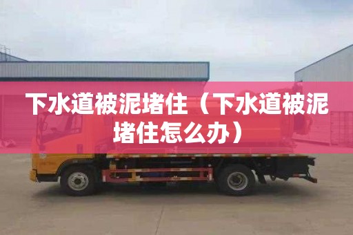 下水道被泥堵住（下水道被泥堵住怎么辦）