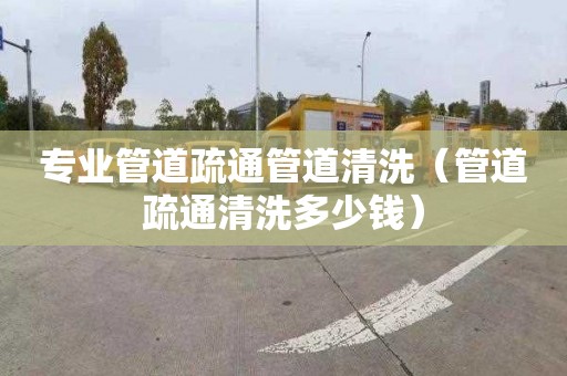 專業管道疏通管道清洗（管道疏通清洗多少錢）