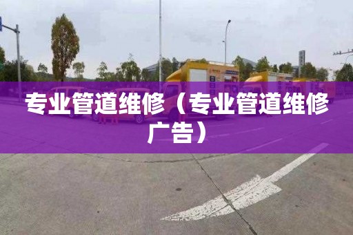 專業管道維修（專業管道維修廣告）