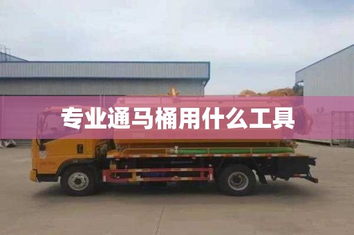 專業通馬桶用什么工具