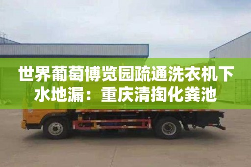 世界葡萄博覽園疏通洗衣機下水地漏：重慶清掏化糞池