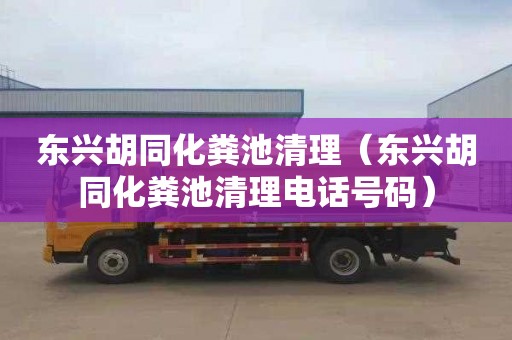 東興胡同化糞池清理（東興胡同化糞池清理電話號碼）