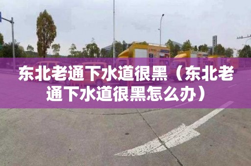 東北老通下水道很黑（東北老通下水道很黑怎么辦）