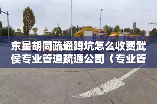 東星胡同疏通蹲坑怎么收費武侯專業管道疏通公司（專業管道疏通公司電話是多少）