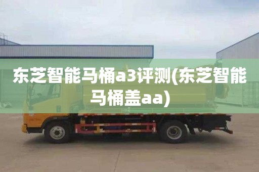 東芝智能馬桶a3評測(東芝智能馬桶蓋aa)