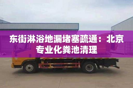 東街淋浴地漏堵塞疏通：北京專業化糞池清理