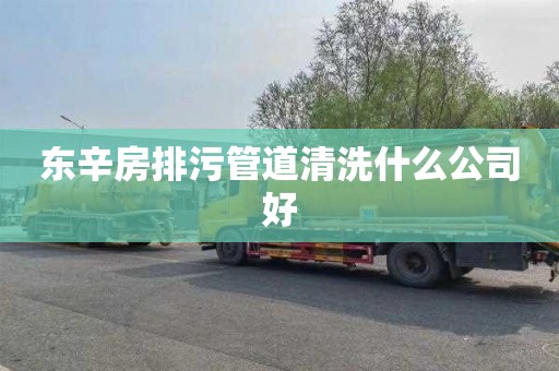 東辛房排污管道清洗什么公司好