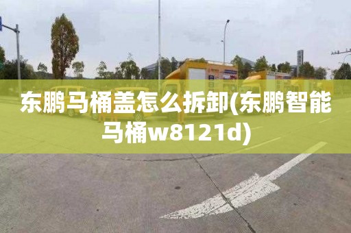 東鵬馬桶蓋怎么拆卸(東鵬智能馬桶w8121d)