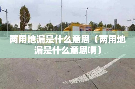 兩用地漏是什么意思（兩用地漏是什么意思啊）