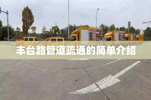 豐臺路管道疏通的簡單介紹