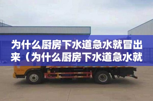 為什么廚房下水道急水就冒出來(lái)（為什么廚房下水道急水就冒出來(lái)一股臭味）