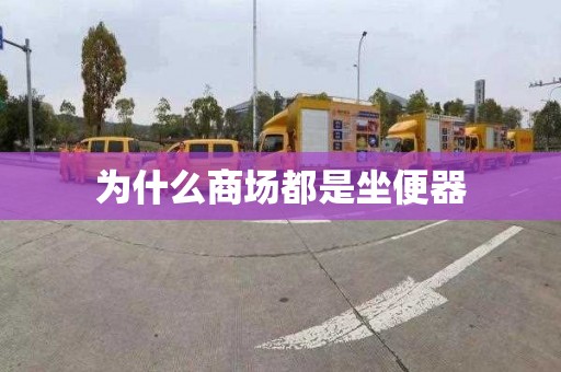 為什么商場都是坐便器