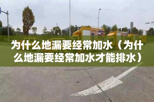 為什么地漏要經常加水（為什么地漏要經常加水才能排水）