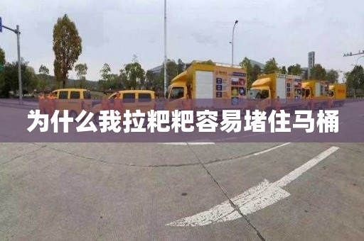 為什么我拉粑粑容易堵住馬桶