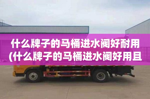 什么牌子的馬桶進水閥好耐用(什么牌子的馬桶進水閥好用且質量好)