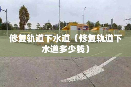 修復軌道下水道（修復軌道下水道多少錢）