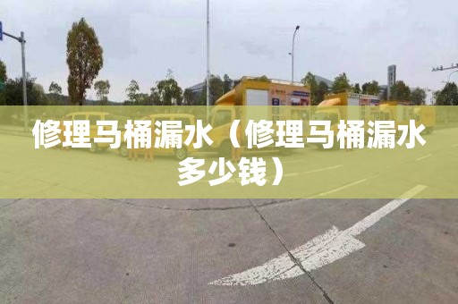 修理馬桶漏水（修理馬桶漏水多少錢）