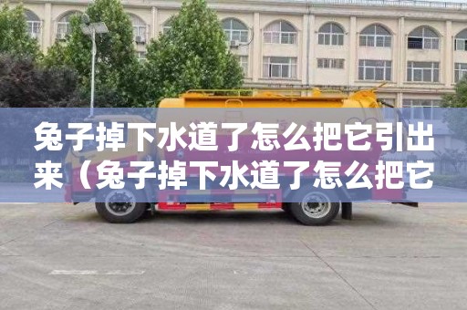 兔子掉下水道了怎么把它引出來（兔子掉下水道了怎么把它引出來他會后退嗎）