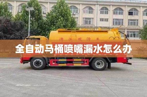 全自動馬桶噴嘴漏水怎么辦