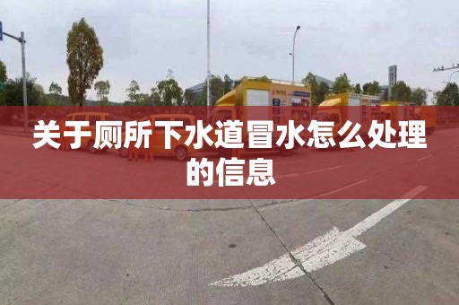 關于廁所下水道冒水怎么處理的信息