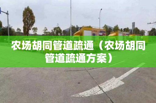 農場胡同管道疏通（農場胡同管道疏通方案）