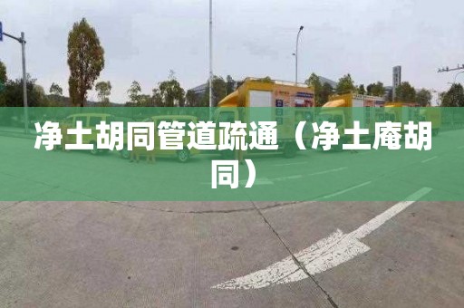 凈土胡同管道疏通（凈土庵胡同）