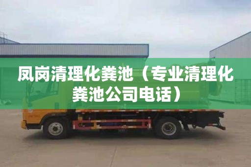 鳳崗清理化糞池（專業(yè)清理化糞池公司電話）