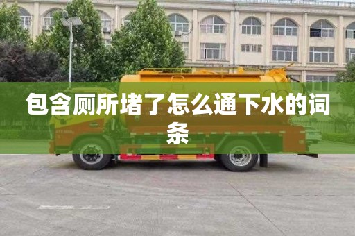 包含廁所堵了怎么通下水的詞條