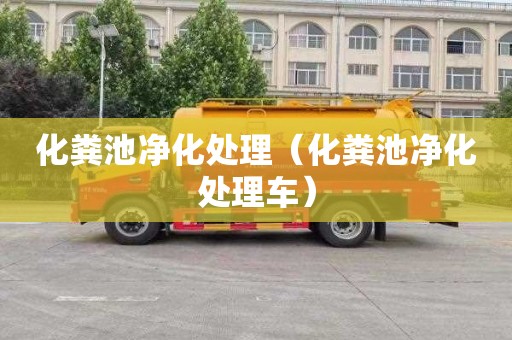 化糞池凈化處理（化糞池凈化處理車）