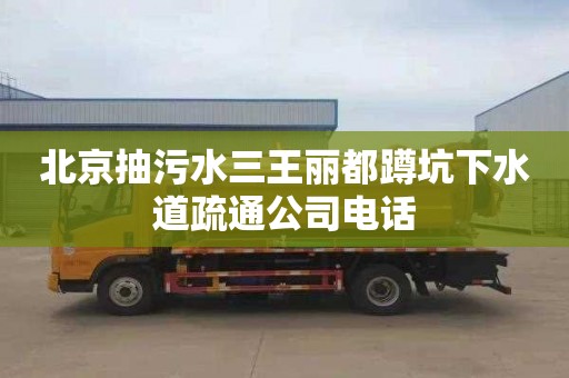 北京抽污水三王麗都蹲坑下水道疏通公司電話