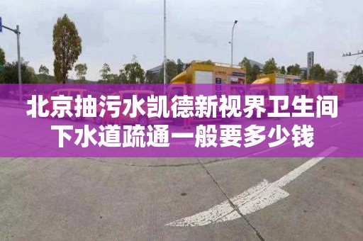 北京抽污水凱德新視界衛(wèi)生間下水道疏通一般要多少錢